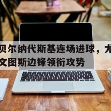 半岛体育app-贝尔纳代斯基为什么去美国