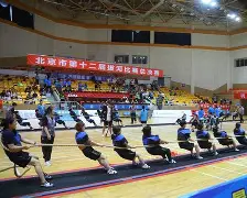 包含板球大师赛掀起高潮，中原白虎队逆转西城天狼队，高压逼抢奏功——宿敌对话再升级的词条